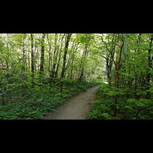 Meet your Posher, Tessa